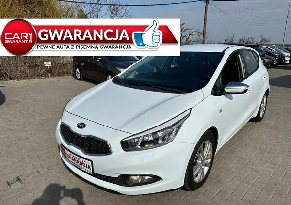 kia ceed Kia Ceed cena 23900 przebieg: 216000, rok produkcji 2012 z Sianów